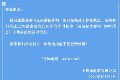 全國(guó)多地遭遇海水倒灌現(xiàn)象,，專家深度解析與應(yīng)對(duì)策略