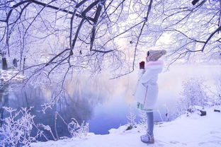 毛不易的冬日之歌,，廣州雪舞的浪漫之夜