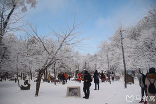 長沙的冬日雪景