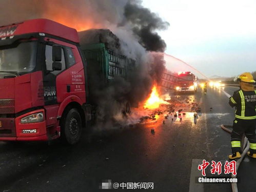 半掛車高速起火,，16輛新車葬身火海