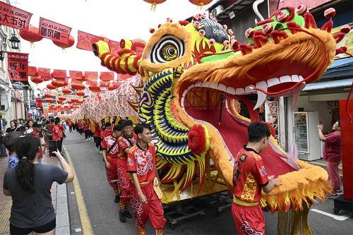 全球共慶中國(guó)年