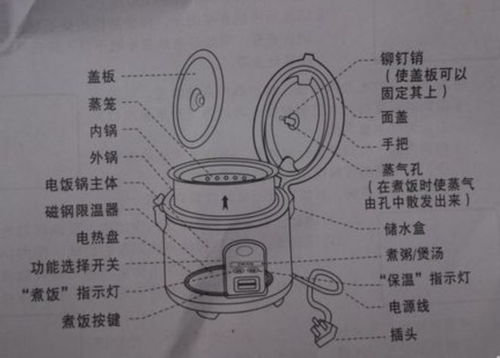 電飯煲清潔之謎,，四處不洗，蟑螂蒸飯的隱患