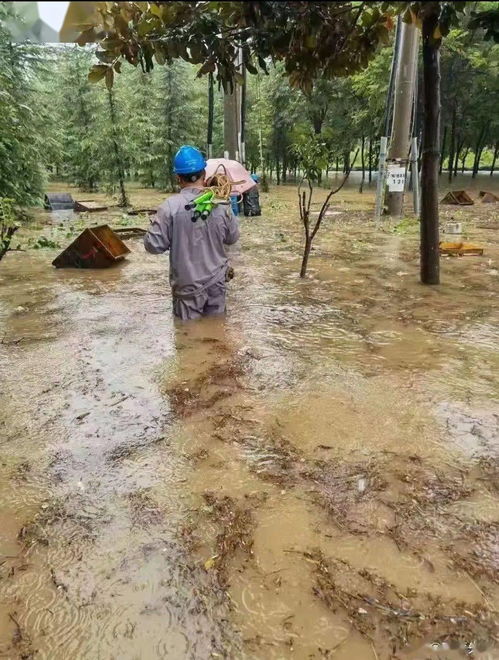 河南遭遇一夜速凍,，多地氣溫驟降的背后