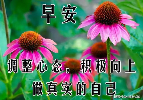 春天的來(lái)信,，一封溫暖的問(wèn)候