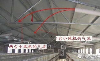 自制雞舍設(shè)計(jì)方案 自制雞舍設(shè)計(jì)方案模板 