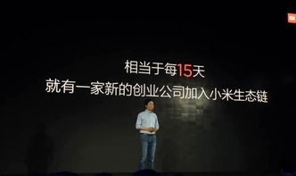 小米的故事 ，小米的崛起之路