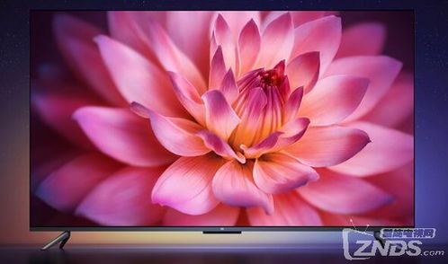 小米電視65寸,，價(jià)格與性能的完美結(jié)合 ,，小米電視65寸，價(jià)格與性能的完美結(jié)合的魅力之作