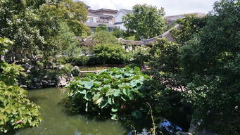 90平假山庭院設(shè)計圖片,，打造精致的東方園林藝術(shù)空間探索之旅