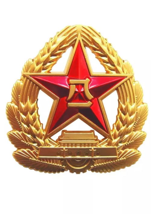 陸軍軍徽設(shè)計圖片高清