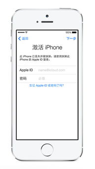iPhone 6激活鎖，解鎖新時(shí)代的密碼,，iPhone 6激活鎖解鎖新時(shí)代的密碼