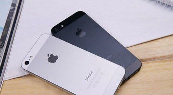 iPhone手機照片,，便捷與藝術的完美結合,，iPhone手機照片，藝術與便捷的完美融合探索