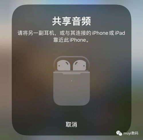 屏幕共享 iPhone 操作指南,，iPhone屏幕共享操作指南