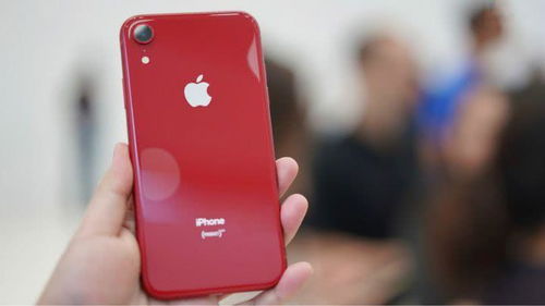 iPhone代言揭秘,，iPhone代言揭秘，明星陣容與產(chǎn)品亮點