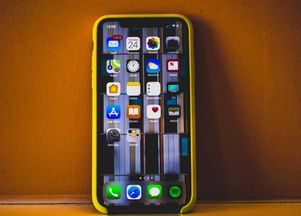 iPhone軟件共享,，便捷與安全的雙重體驗(yàn),，iPhone軟件共享，便捷與安全的雙重體驗(yàn),，安全無憂下載首選,！