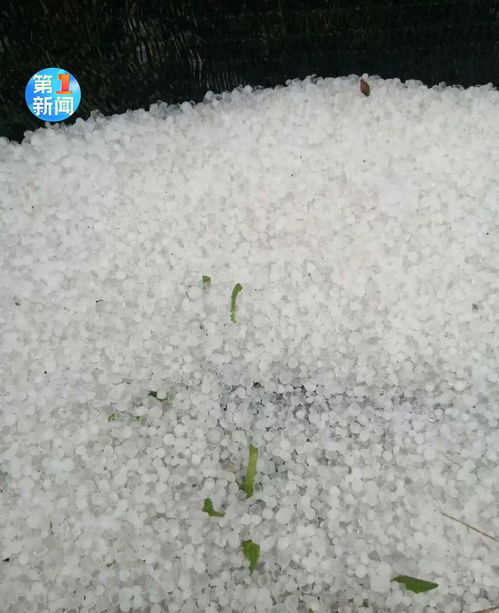 西安冰雹是人工增雨導致,？假