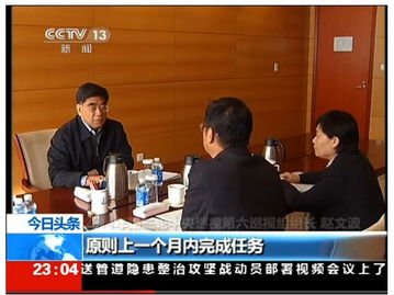 中央巡視組進駐后 童亞輝主動投案