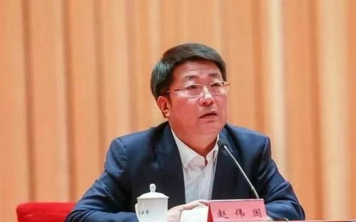 紫光集團(tuán)原董事長趙偉國被判死緩