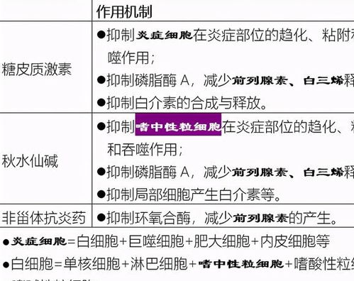 設(shè)計方案里的止痛是什么[止痛機制]