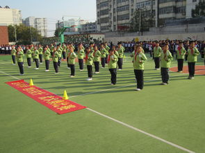 旭日東升武術(shù)操完整版,旭日東升武術(shù)操完整版慢動作