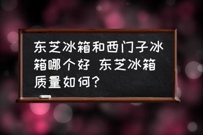 東芝冰箱質(zhì)量怎么樣,東芝冰箱質(zhì)量怎么樣,排名如何