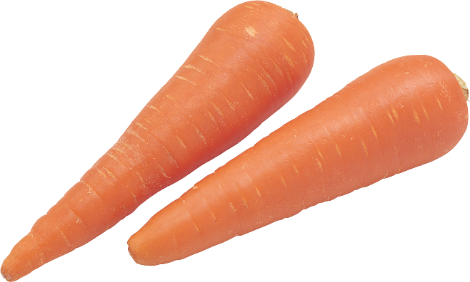 carrot,carrot可數(shù)嗎